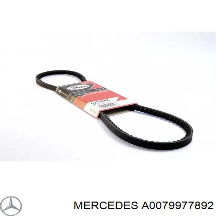 Купить A0079977892 Mercedes Ремень генератора