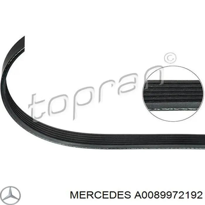 Ремень генератора A0089972192 Mercedes