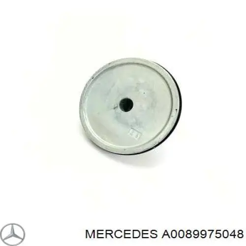  A0089975048 Mercedes