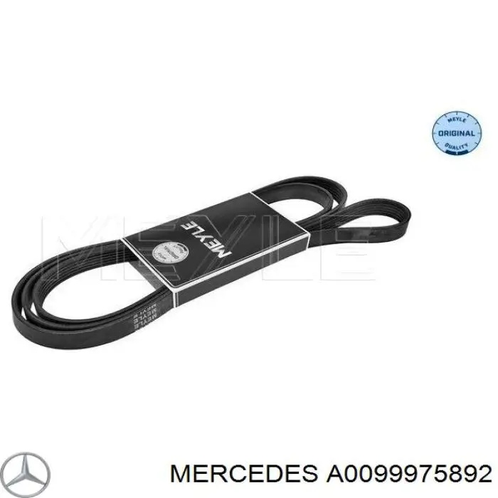 Купить A0099975892 Mercedes Ремень генератора
