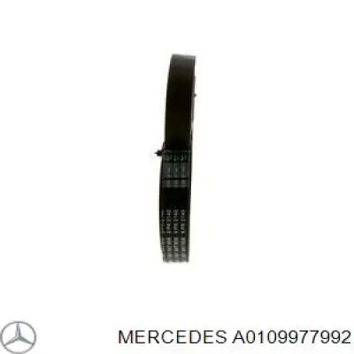 Клиновый ремень Mercedes A0109977992 цена, от 18.10 USD