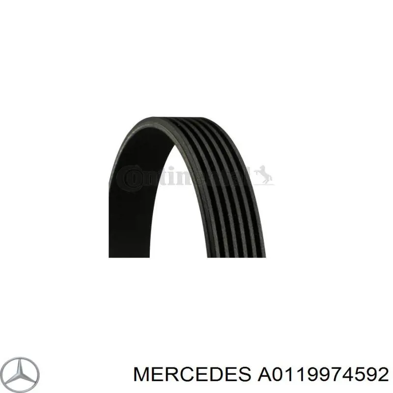Клиновый ремень Mercedes A0119974592 цена, от 18.58 USD