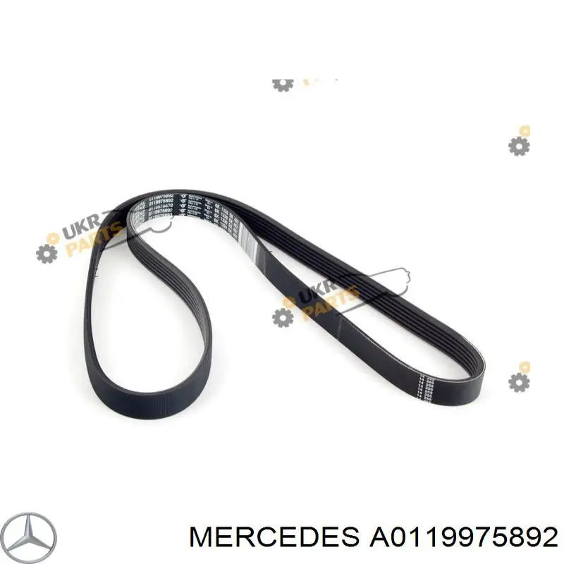 Купить A0119975892 Mercedes Ремень генератора