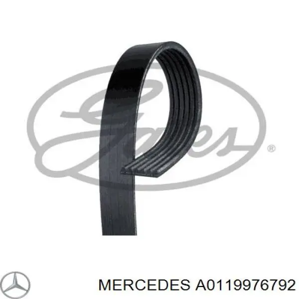 A0119976792 Mercedes ремень генератора