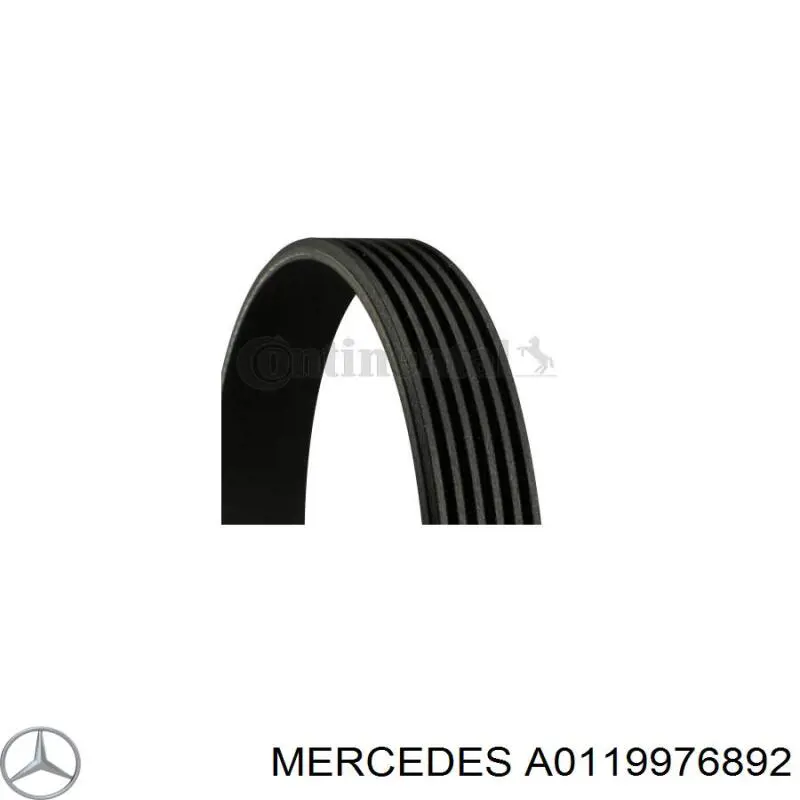 Клиновый ремень Mercedes A0119976892 цена, от 27.12 USD