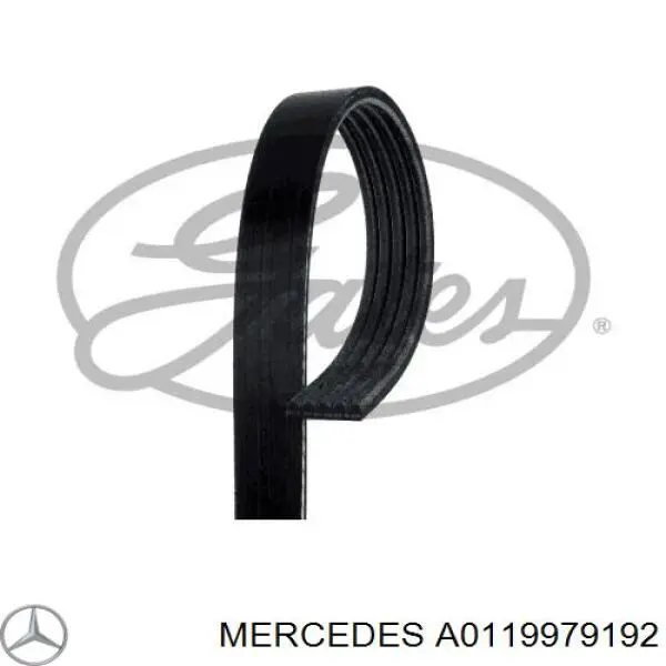 Клиновый ремень Mercedes A0119979192 цена, от 8.42 USD