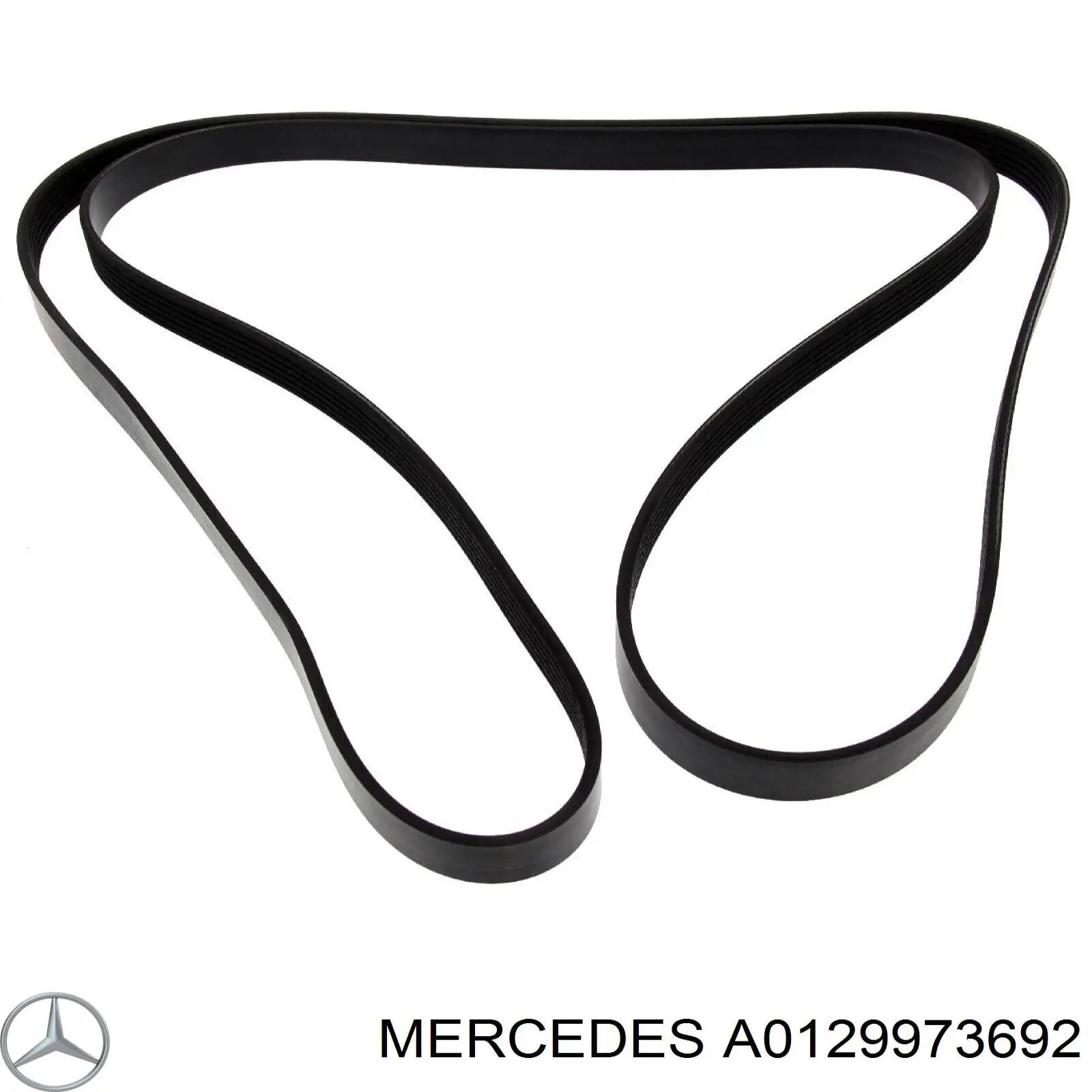 Купить A0129973692 Mercedes Ремень генератора