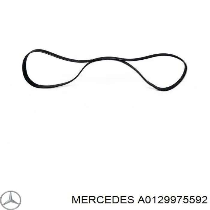 Купить A0129975592 Mercedes Ремень генератора