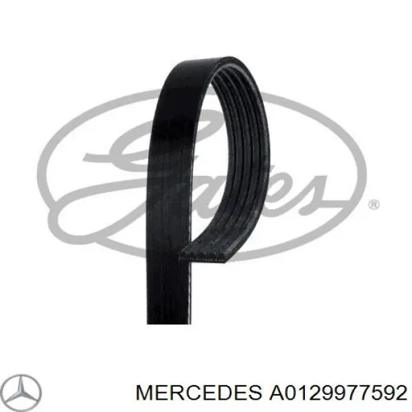 Ремень генератора A0129977592 Mercedes