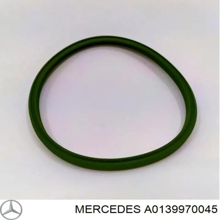 Anel de vedação de tubo coletor de admissão para Mercedes G (W463)