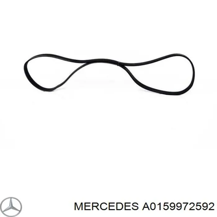 A0159972592 Mercedes ремень генератора