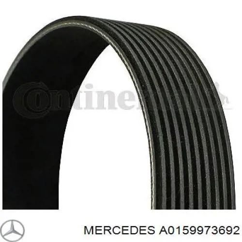 Ремень генератора A0159973692 Mercedes