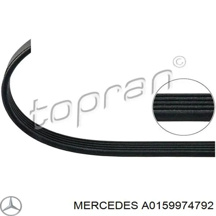 Клиновый ремень Mercedes A0159974792 цена, от 8.46 USD