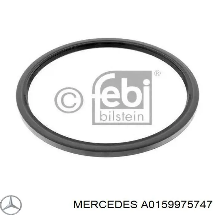 Сальник передней ступицы внешний A0159975747 Mercedes