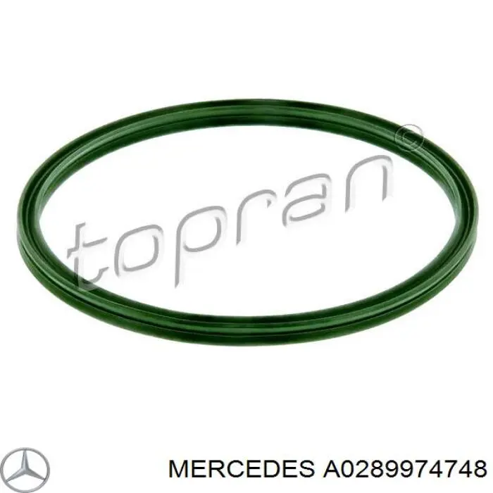 Уплотнительное кольцо патрубка интеркуллера на Mercedes ML/GLE (W163)