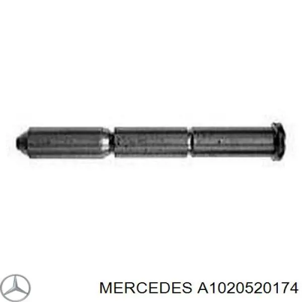  A1020520174 Mercedes