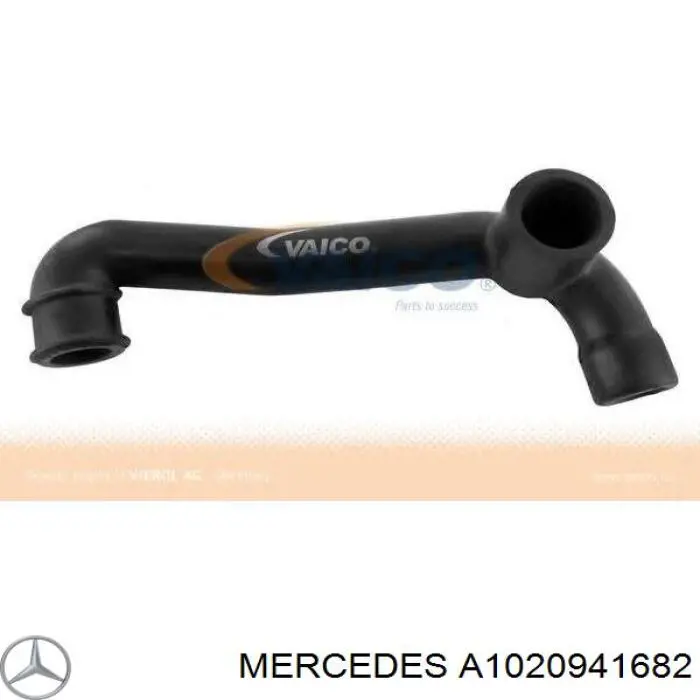  A1020941682 Mercedes