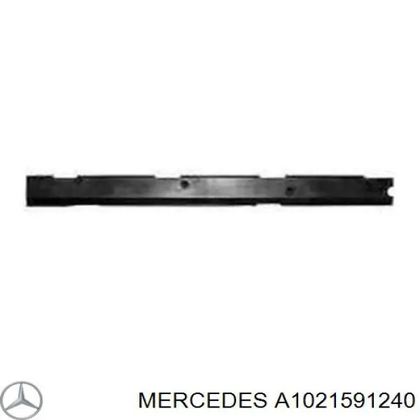  A1021591240 Mercedes