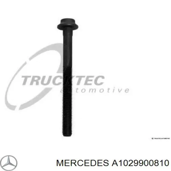 Болт головки блока цилиндров, ГБЦ Mercedes A1029900810 цена, от 2.02 USD