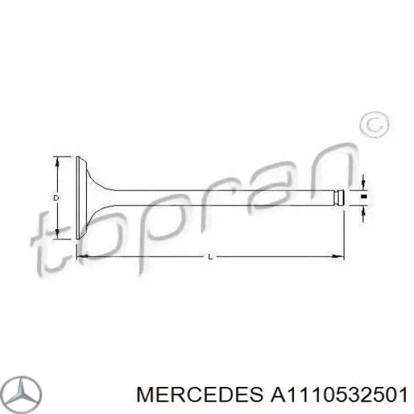 1110532501 Mercedes válvula de admissão