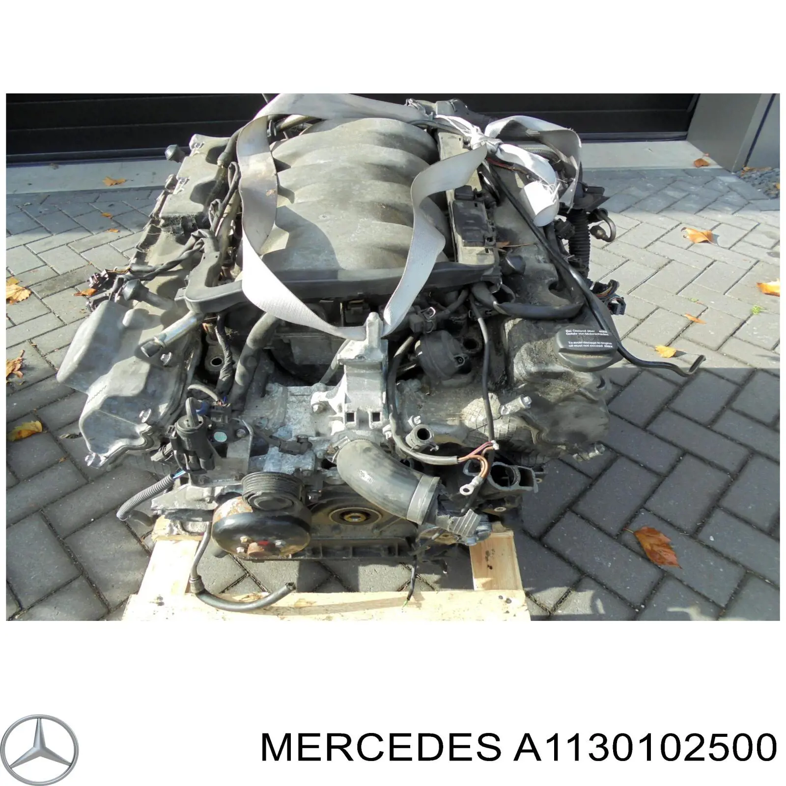 Двигатель в сборе A113010250080 Mercedes