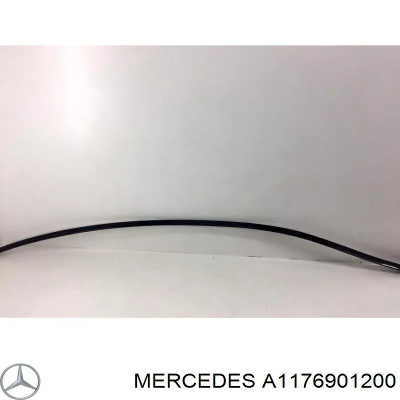  A117690120064 Mercedes