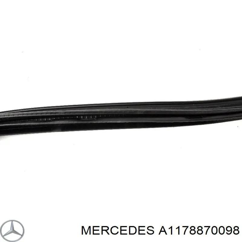  A1178870098 Mercedes