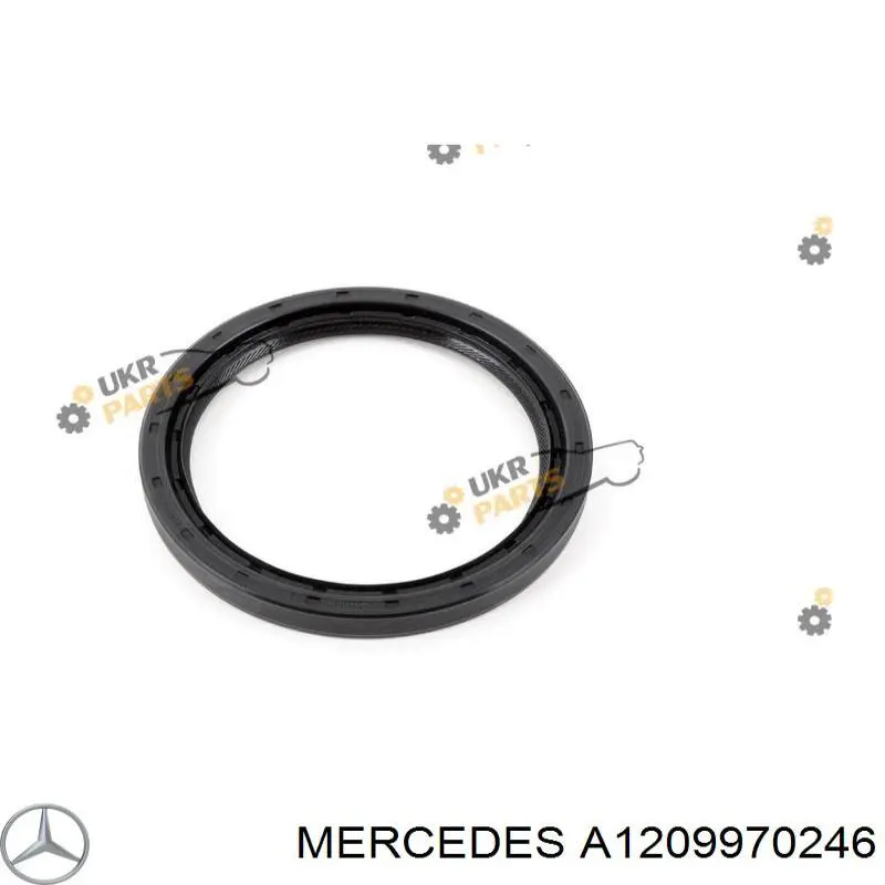 Сальник коленвала задний Mercedes A1209970246 цена, от 18.24 USD