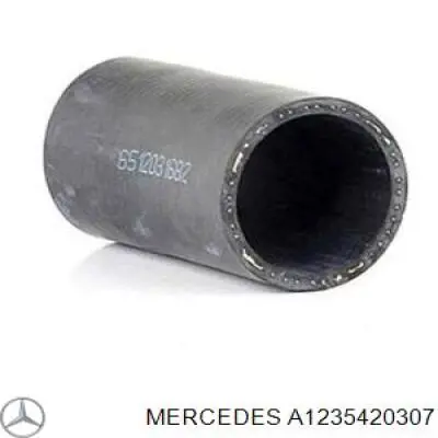 Трос привода спидометра A1235420307 Mercedes