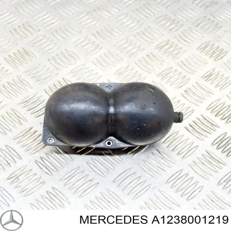  A1238001219 Mercedes