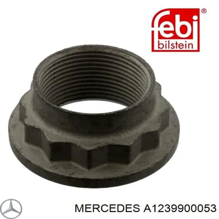 A1239900053 Mercedes 