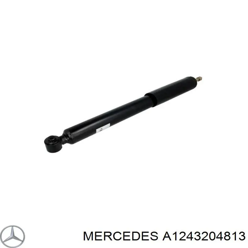 A1243204813 Mercedes 