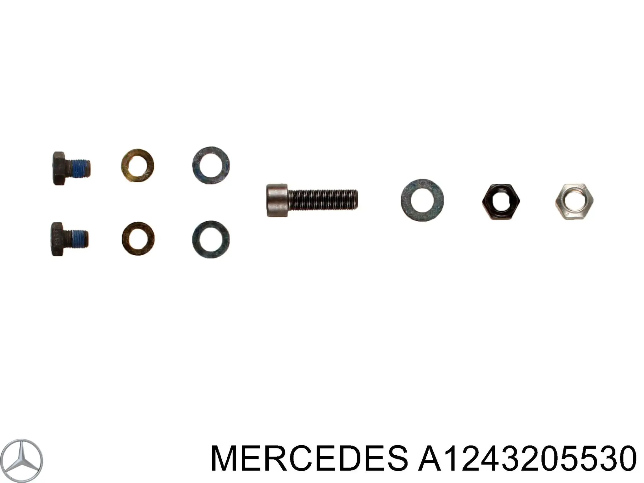 A1243205530 Mercedes амортизатор передний