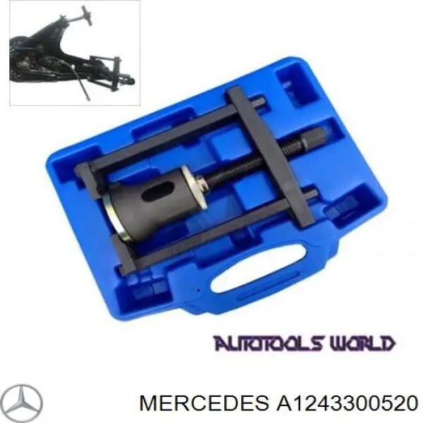Цапфа (поворотный кулак) передний правый Mercedes A1243300520 цена, от 17.74 USD