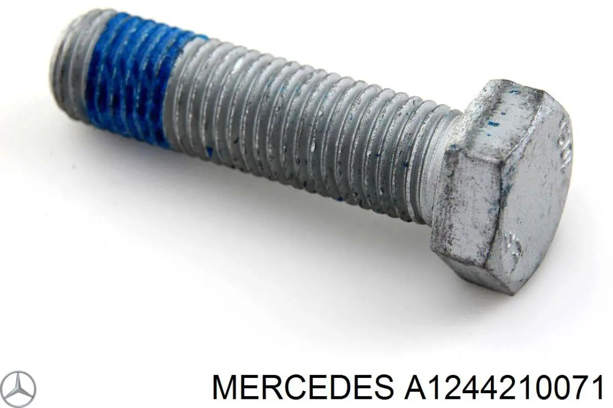  A1244210071 Mercedes