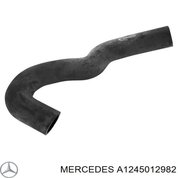 Шланг радиатора, нижний Mercedes A1245012982 цена, от 8.50 USD