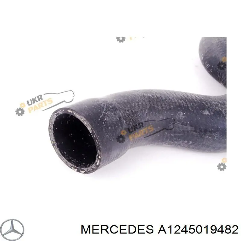 Купить A1245019482 Mercedes Патрубок радиатора