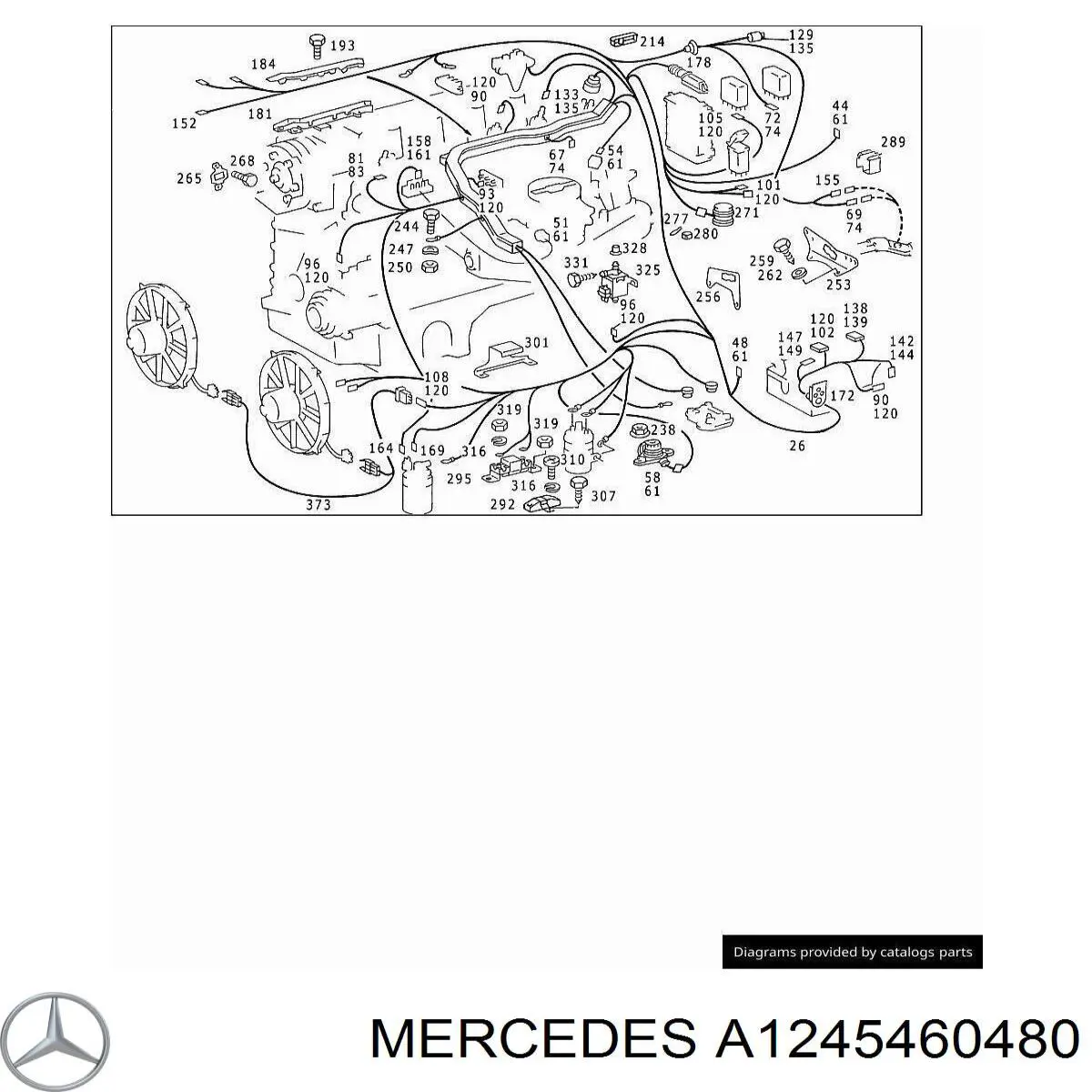 A1245460480 Mercedes 