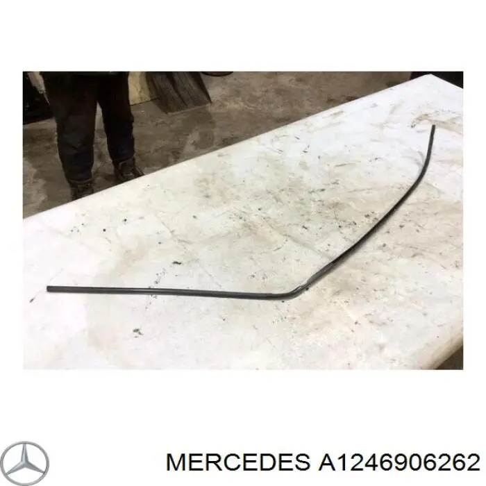  A1246906262 Mercedes