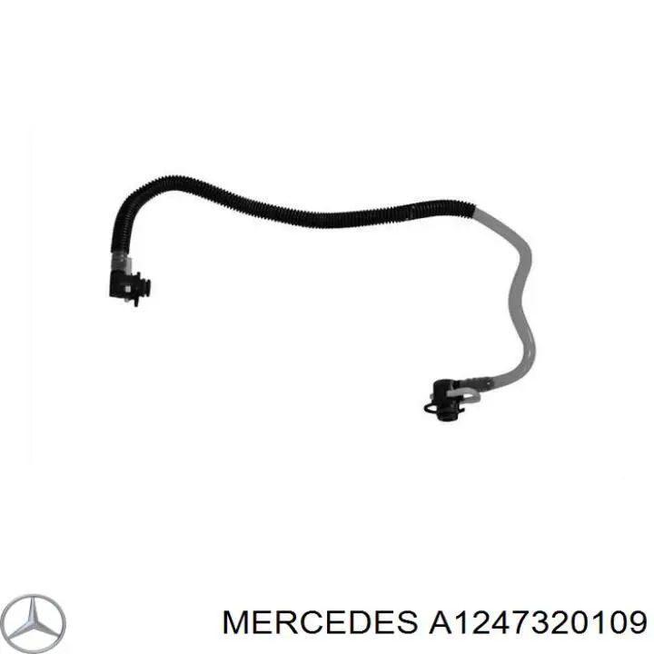  A1247320109 Mercedes