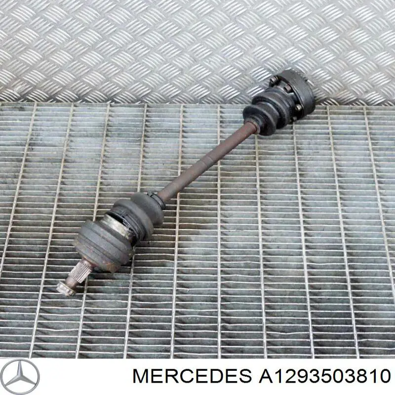  A1293503810 Mercedes