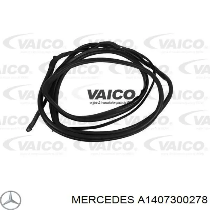A1407300278 Mercedes Уплотнитель двери передней левой (на двери)
