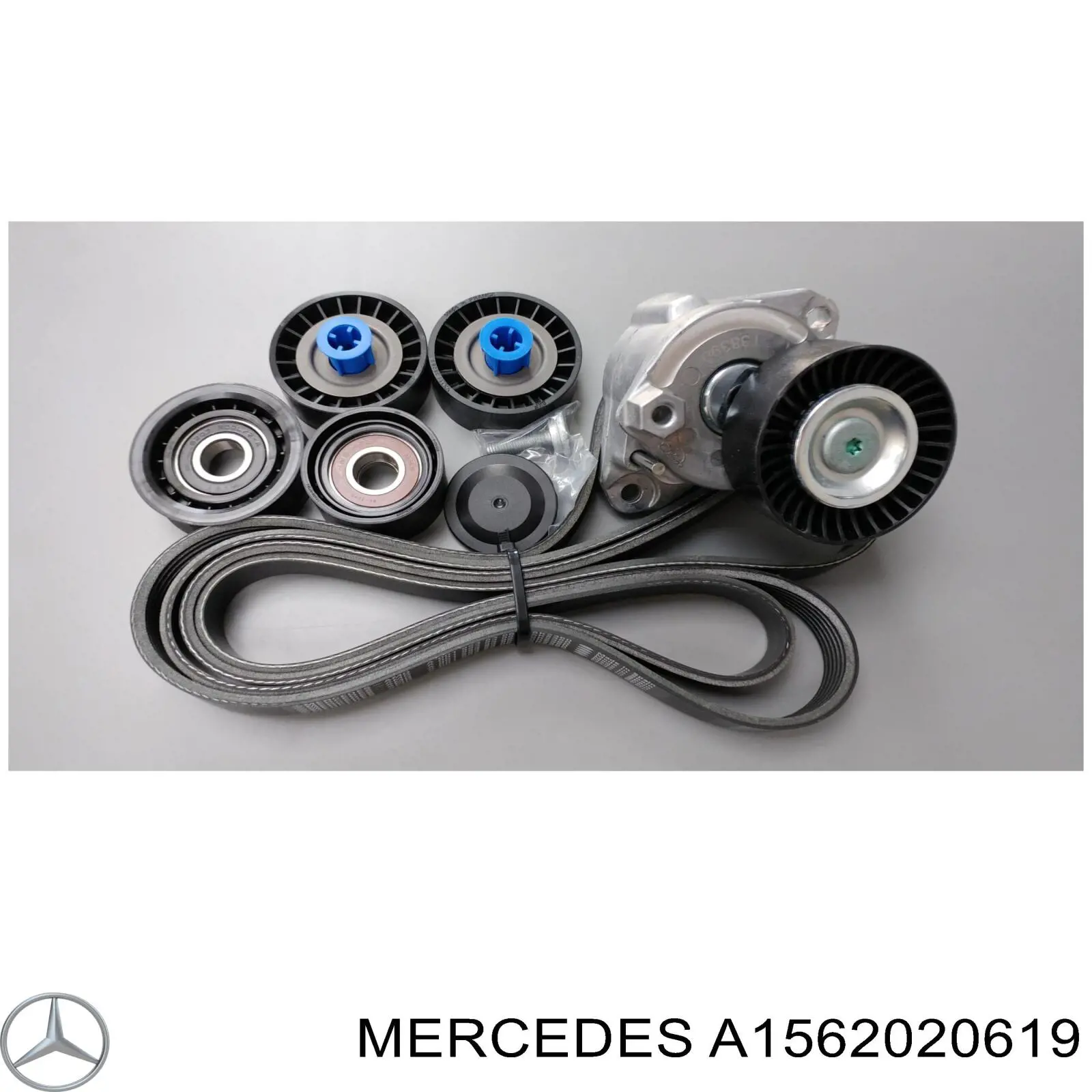 Паразитный ролик приводного ремня Mercedes A1562020619 цена, от 36.26 USD