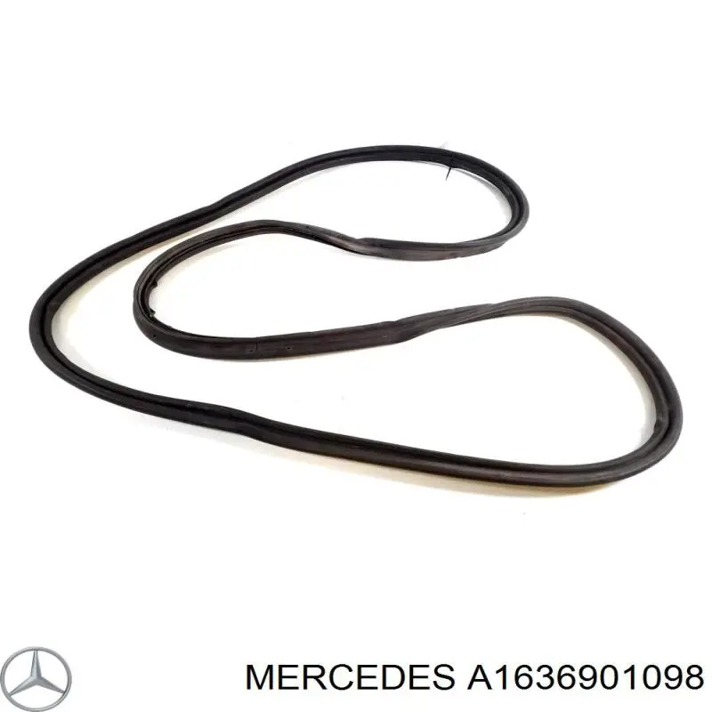  1636901098 Mercedes