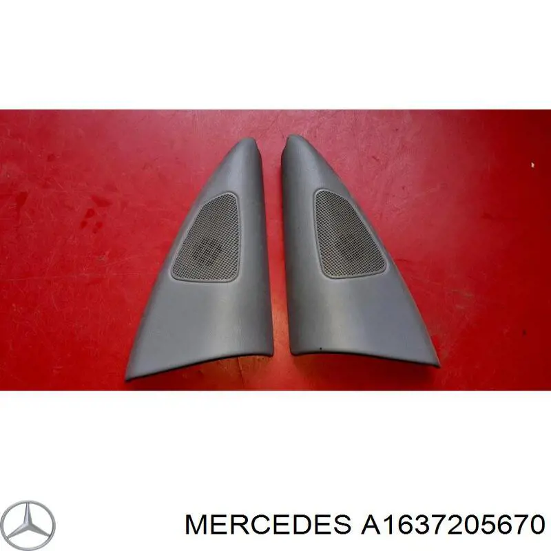 A1637205670 Mercedes 