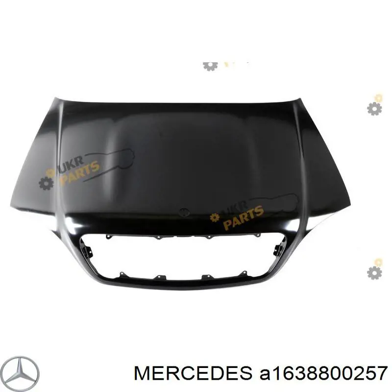 1638800257 Mercedes капот