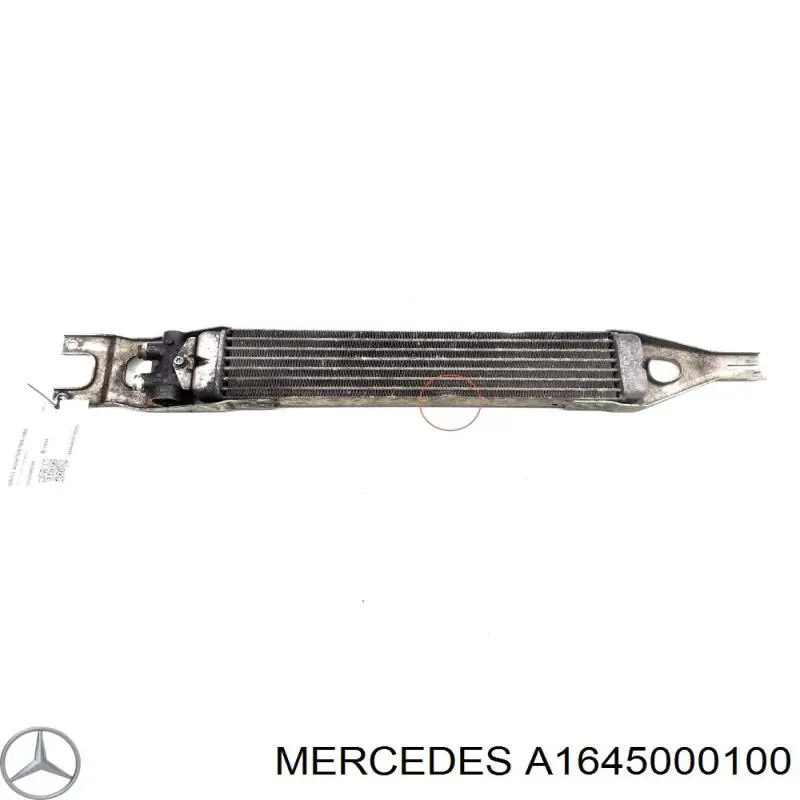  1645000100 Mercedes