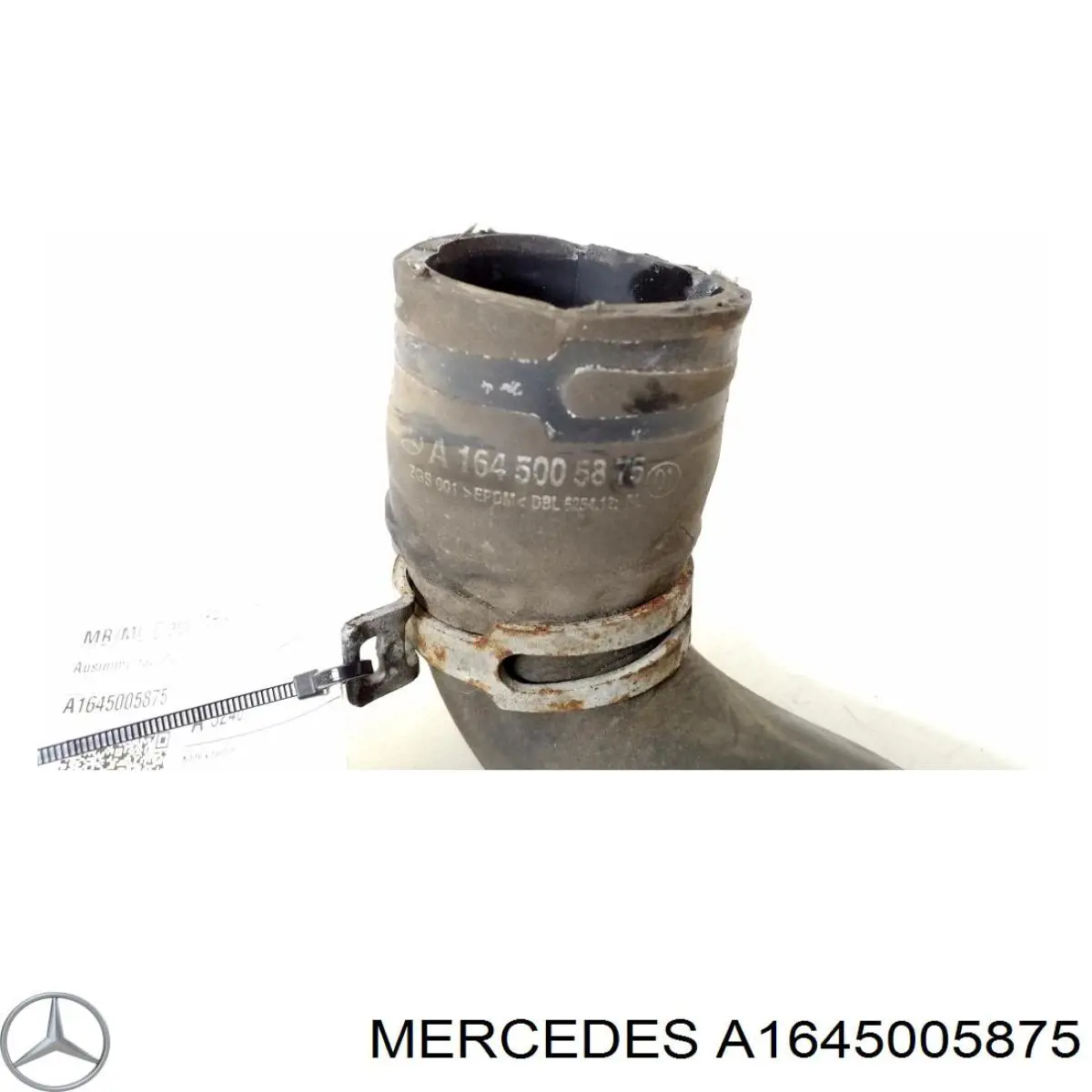 Купить A1645005875 Mercedes Патрубок радиатора
