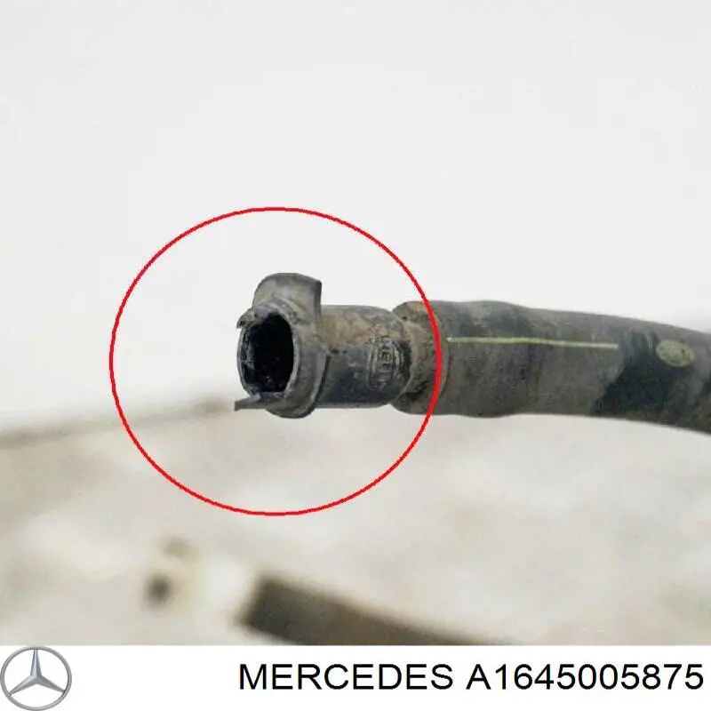 Шланг радиатора охлаждения Mercedes A1645005875 цена, от 25.34 USD