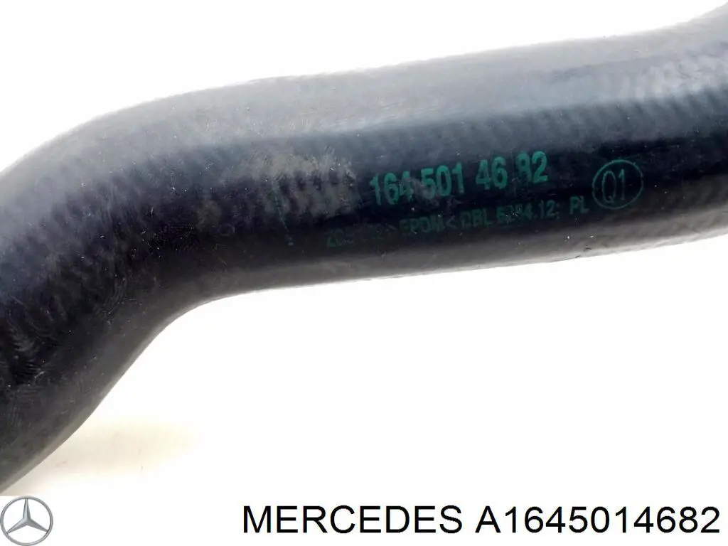 1645014682 Mercedes 